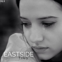 Eastside Ting