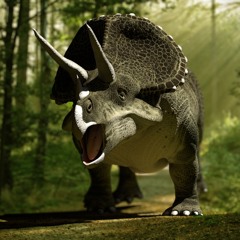 La Marche Des Triceratops