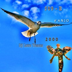8° Anjo_509-E (LUTRA TRAMUS) Homenagem - Edit.