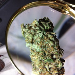 KnoTheME-aning (KityVersion)