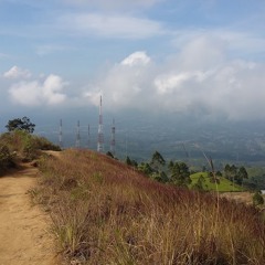 Madu Merah By Meggie