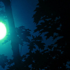 Lune Lune Belle Lune ( Yannick Regis - Hervé Suhubiette / Hervé Suhubiette )