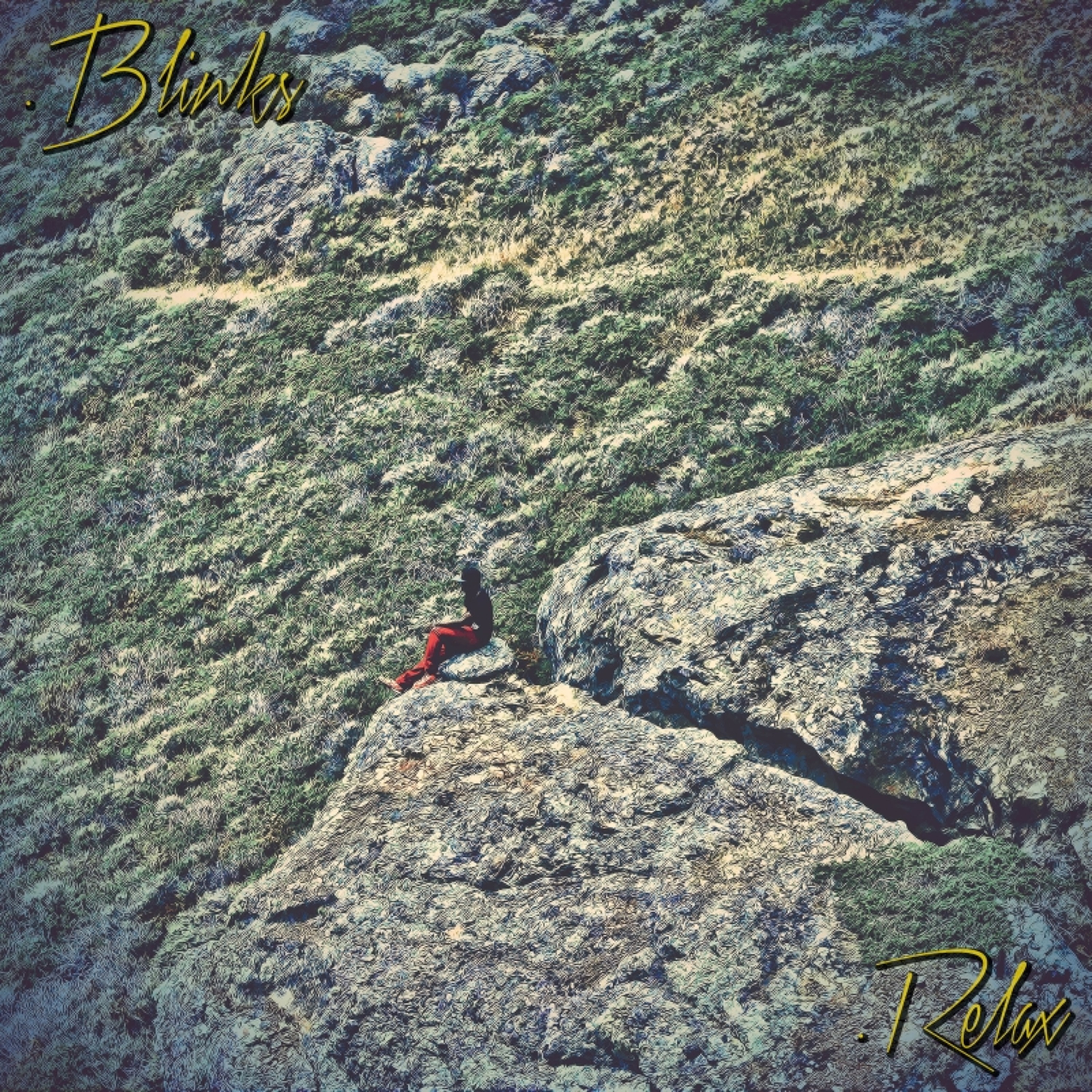 The Role (Feat. Young Gully) (Prod. By .Blinks)