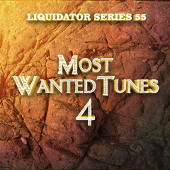 Liquidator Series 55 Most Wanted Tunes 4 November 2012