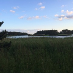 Moonchild (King Crimson Cover)