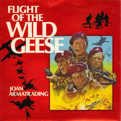 Flight Of The Wild Geese [JOAN ARMATRADING]