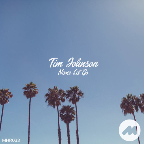 Tim Johnson Ft. Leanne Brown - Never Let Go