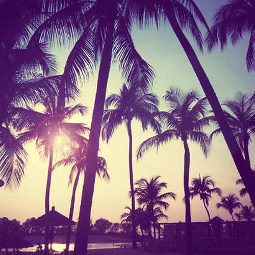 dream - 000
