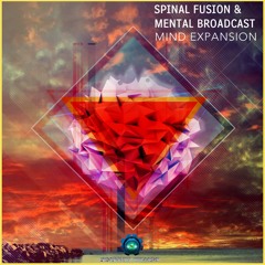 Mental Broadcast - Shadow Of Reality (Spinal Fusion Rmx) (Sample)