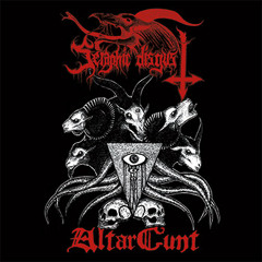 SERAPHIC DISGUST - Stagnation (and ethereal malice) amomg lowly spirits