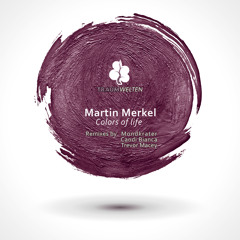 Colors Of Life (Mondkrater Remix)