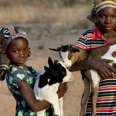 SciDev.Net podcast: African farmers mitigate emissions