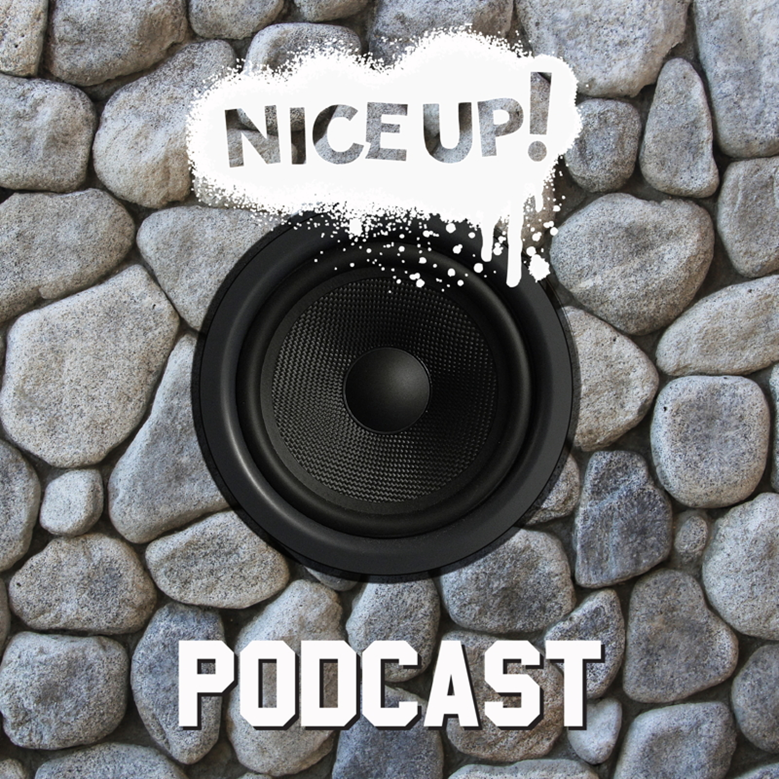 NICE UP! records