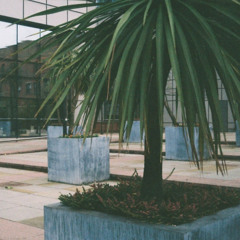 [TwelveOne] The Marx Trukker – Among Climetree Harbors (blue 12" vinyl)