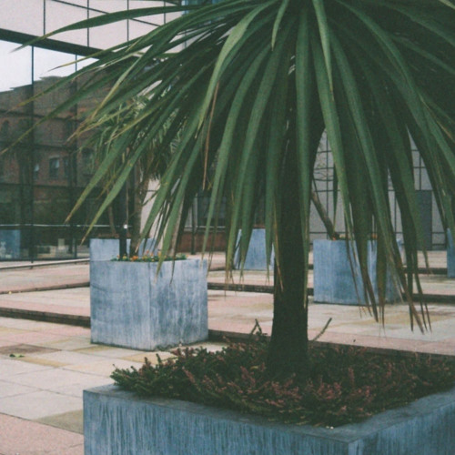 [TwelveOne] The Marx Trukker – Among Climetree Harbors (blue 12" vinyl)