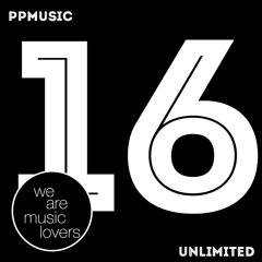 Beny Junior - Funky Hero - Original Mix [PPMUSIC UNLIMITED]