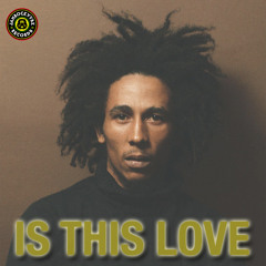 Bob Marley - Is This Love [King Ital Rebel Remix]
