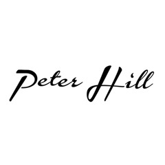 Matisyahu - Live Like A Warrior (Peter Hill Remix)