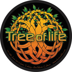 Plasmotek Live set @ Tree of Life festival 2015