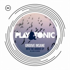 Groove Insane - Into The Groove (Original Mix)