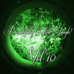Volume 10 : DJ Problem Child