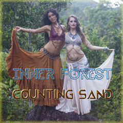 Counting Sand (Long Version)