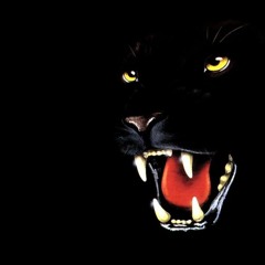 Cela est numero deux.