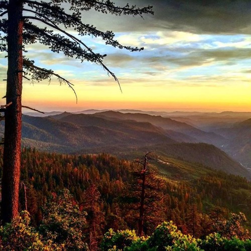 Revolution - 127 (Hypnosis Mix V:19.0)