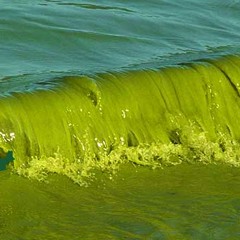 MY CITY Louie Perry Ft Jomaa 1