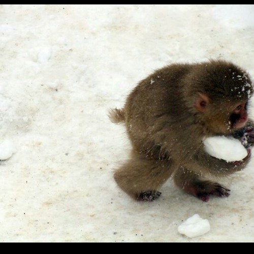 Logic- Under Pressure (intro) at Here