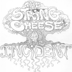 String Cheese Incident - set 1-08 -Texas - 11.08.1997 - The Covered Dish, Gainesville, FL