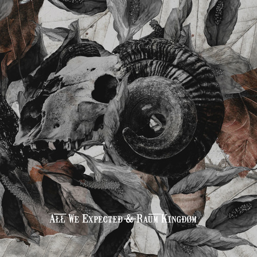 raum-kingdom-lost-in-the-hunt