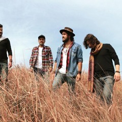 Suricato - Diante de Qualquer Nariz