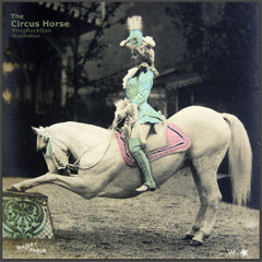 The Circus Horse (with AndAWan)