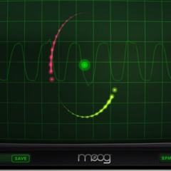 Cat time travel at Sector 897de