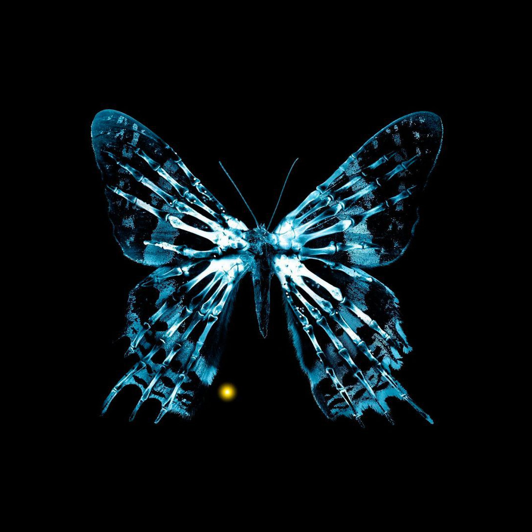 artworks-000125006409-a5vtna-