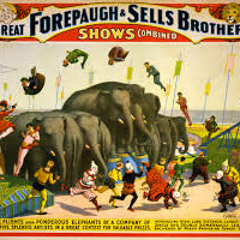 Circus Of Life