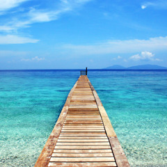 Sqweez Animal : พรุ่งนี้ที่ดีกว่า