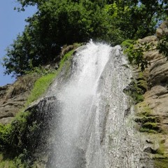 tebo