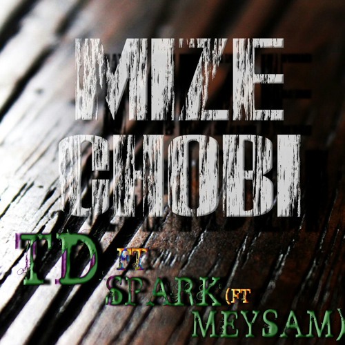 Mohamad Spark & TD (ft MEYSAM) - MizeChoobi