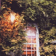 Need Somebody to Love - Ellie D (Cover of Ady Suleiman)