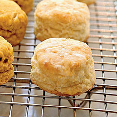 Buttermilk Biscuits - Still Cookin' Biscuits!!!