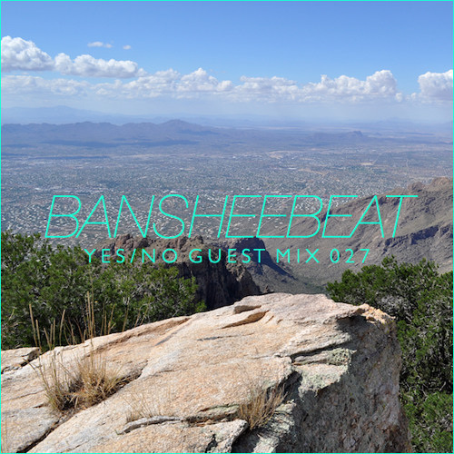 Y/N GUEST MIX 027 :: bansheebeat