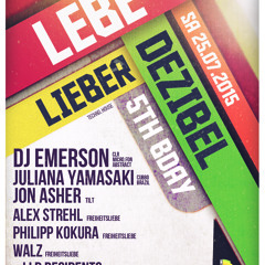 DJ Emerson @ 5 Jahre LEBE LIEBER DEZIBEL - Fusion Club