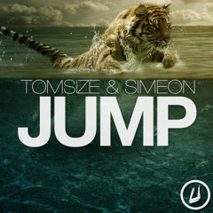 Tomsize & Simeon - Jump (Next Order Remix) [Free Download]