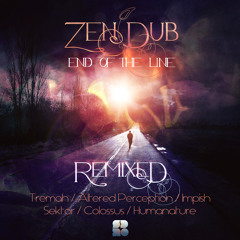 Zen Dub - Shining On Me (Altered Perception Remix) [Soul Deep Recordings]