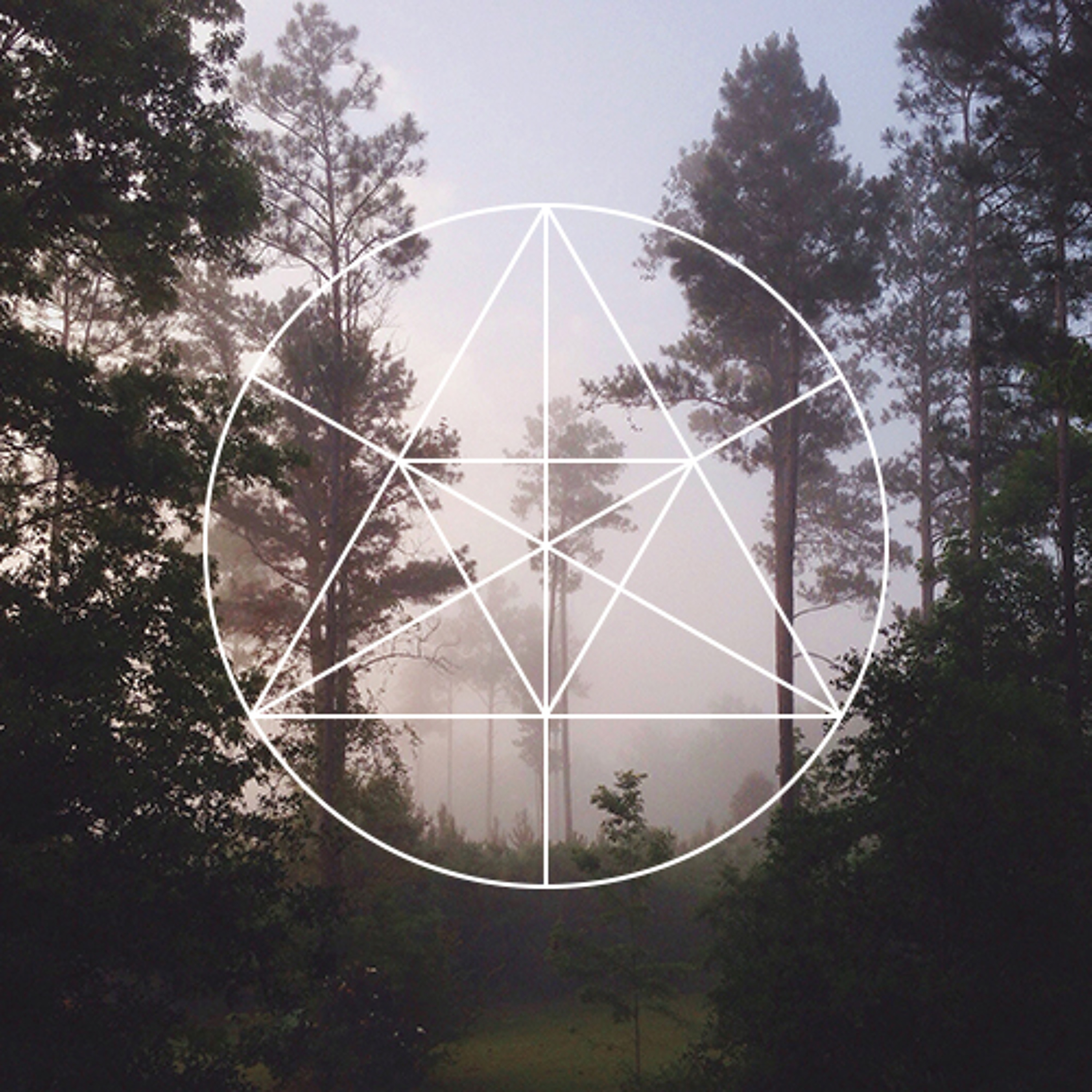 Mysteries of the Deep