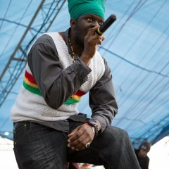 AIMA MOSES