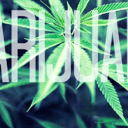 Amapola Irie Roots 1