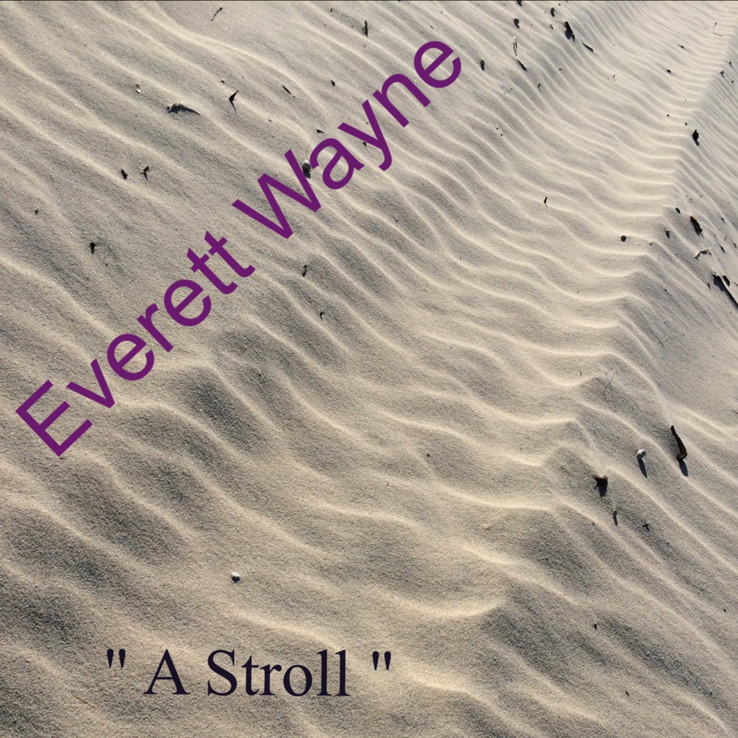 Everett Wayne